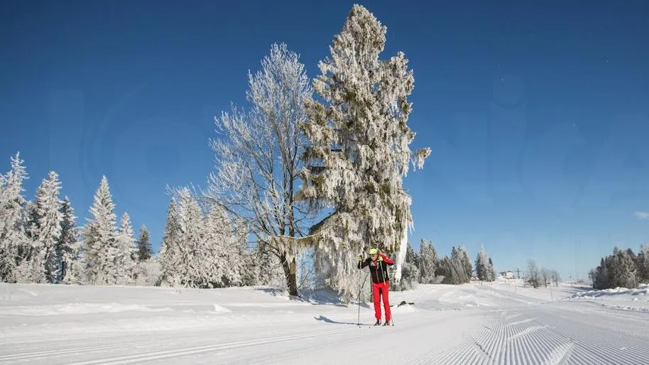 Zawody w narciarstwie biegowym
